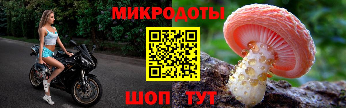 Псилоцибиновые грибы мухоморы Тверь